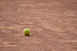 费德勒迎来十赛季巅峰发挥，瑞士队观众热烈欢呼，再创辉煌时刻